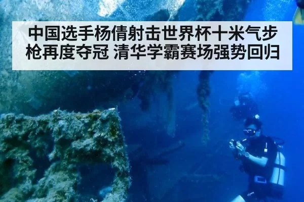 中国选手杨倩射击世界杯十米气步枪再度夺冠 清华学霸赛场强势回归
